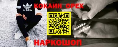 крисы Будённовск