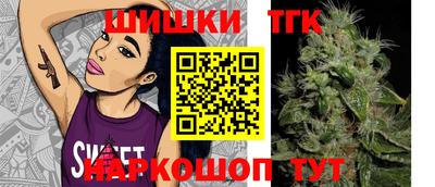 крисы Будённовск