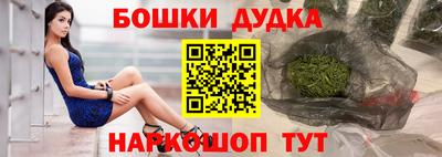 крисы Будённовск